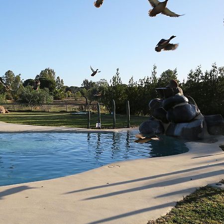 Ardea Purpurea Hotel Villamanrique De La Condesa Exterior foto