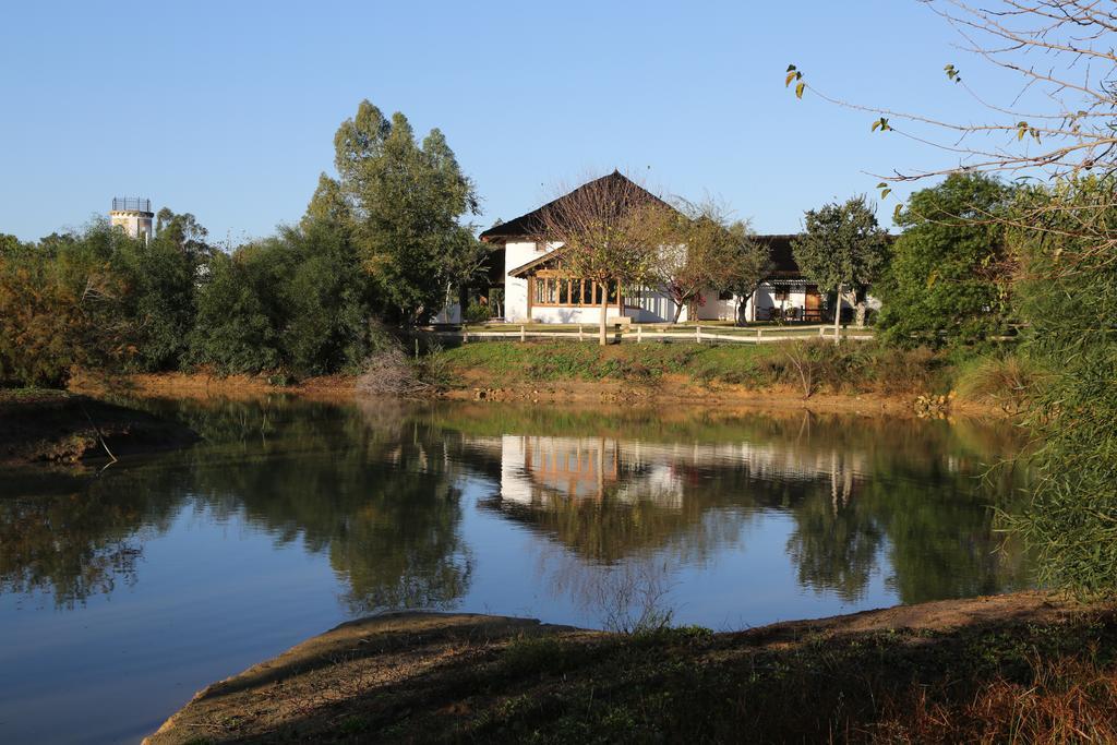 Ardea Purpurea Hotel Villamanrique De La Condesa Exterior foto